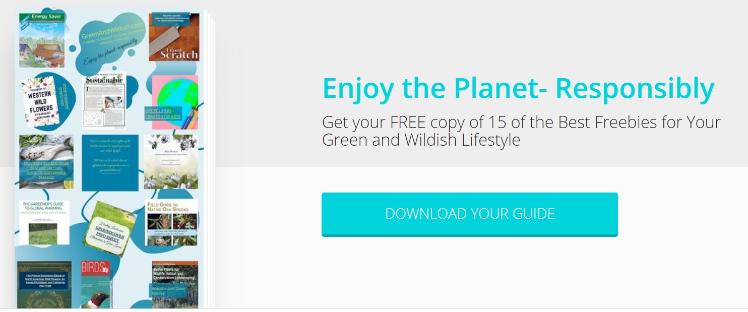 15 of the best freebies  for the green and wildish lifestyle