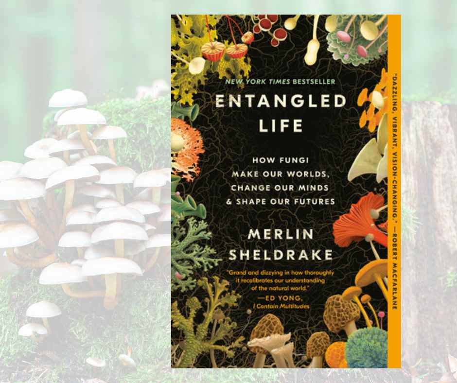 entangled life book reviews