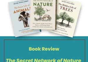 Book Review the Secret Network of Nature