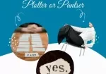 Are  you a Pantser or a plotter. 