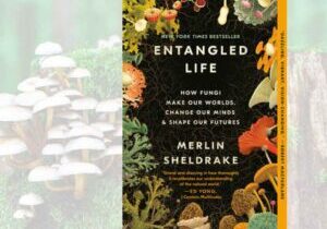 Entangled Life: How Fungi Make Our Worlds, Change Our Minds and Shape Our Futures. Neither animal nor plant.  Nature and Science writing at its best.