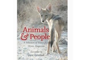 Animals and People by Orion Magazine